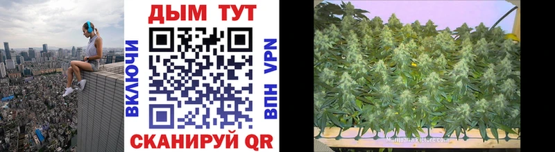 Каннабис THC 21%  Кубинка 